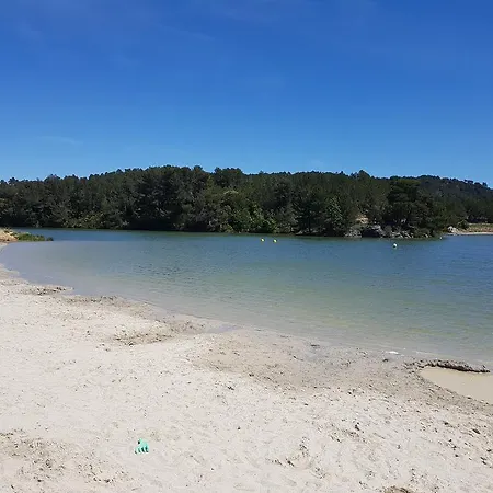 Penthouse Overlooking Place Carnot Lägenhet