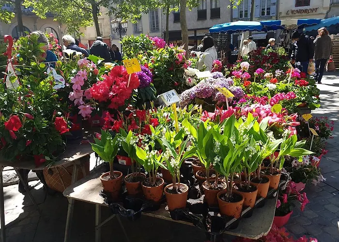 Apartament Penthouse Overlooking Place Carnot Carcassonne